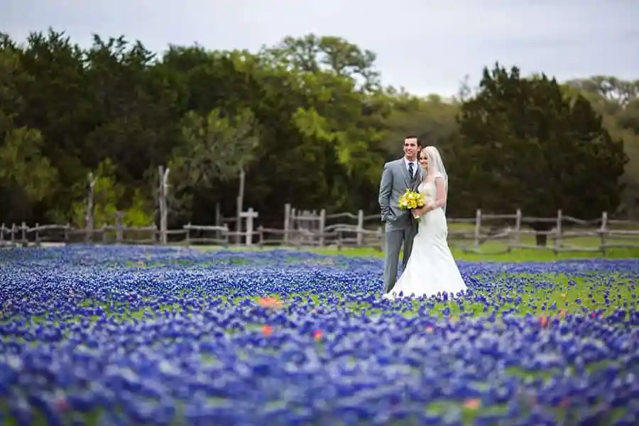 Best Months for a Bluebonnet Wedding in Texas