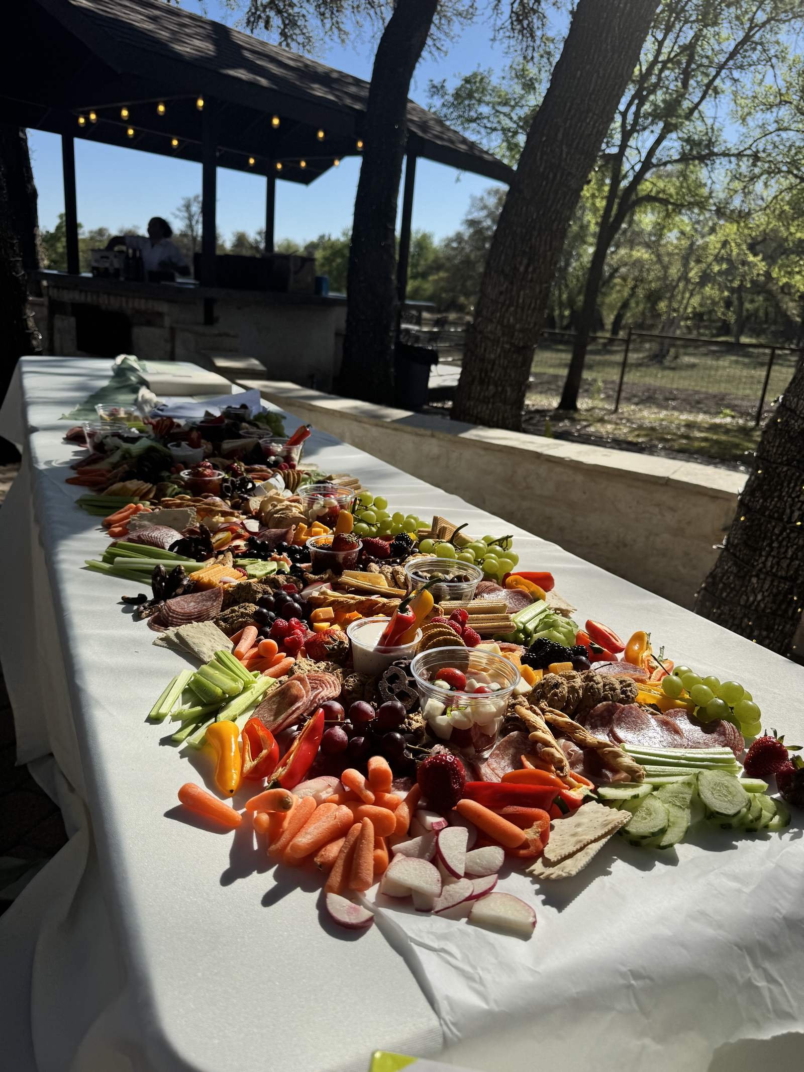 Long outdoor grazing table with meats, cheeses, fruit, and vegetables under a covered patio with trees behind
